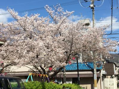 う、うとぅくてぃー